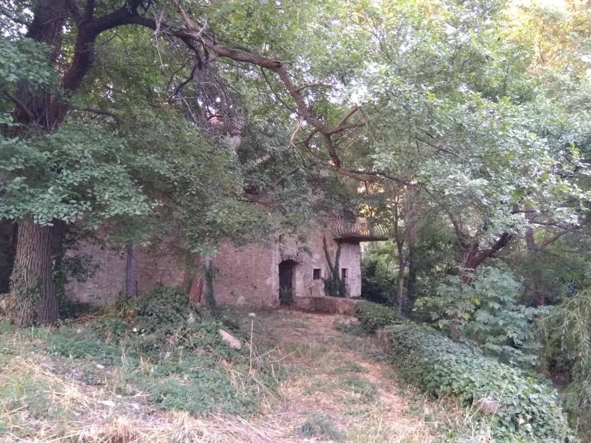 Jankovich Castle Apartment Бенковац Екстериор снимка