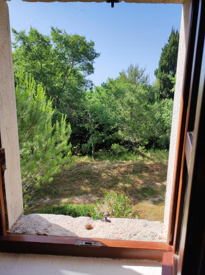 Jankovich Castle Apartment Бенковац Екстериор снимка